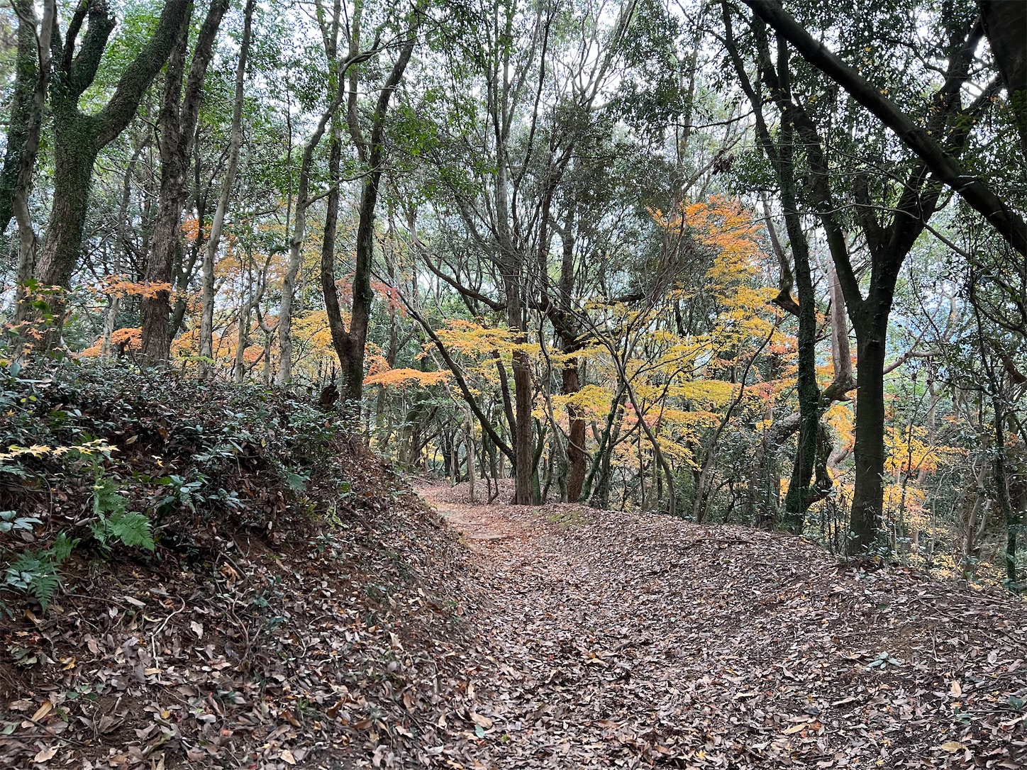 f:id:crystal0207:20221216141742j:image f:id:crystal0207:20221216141742j:image