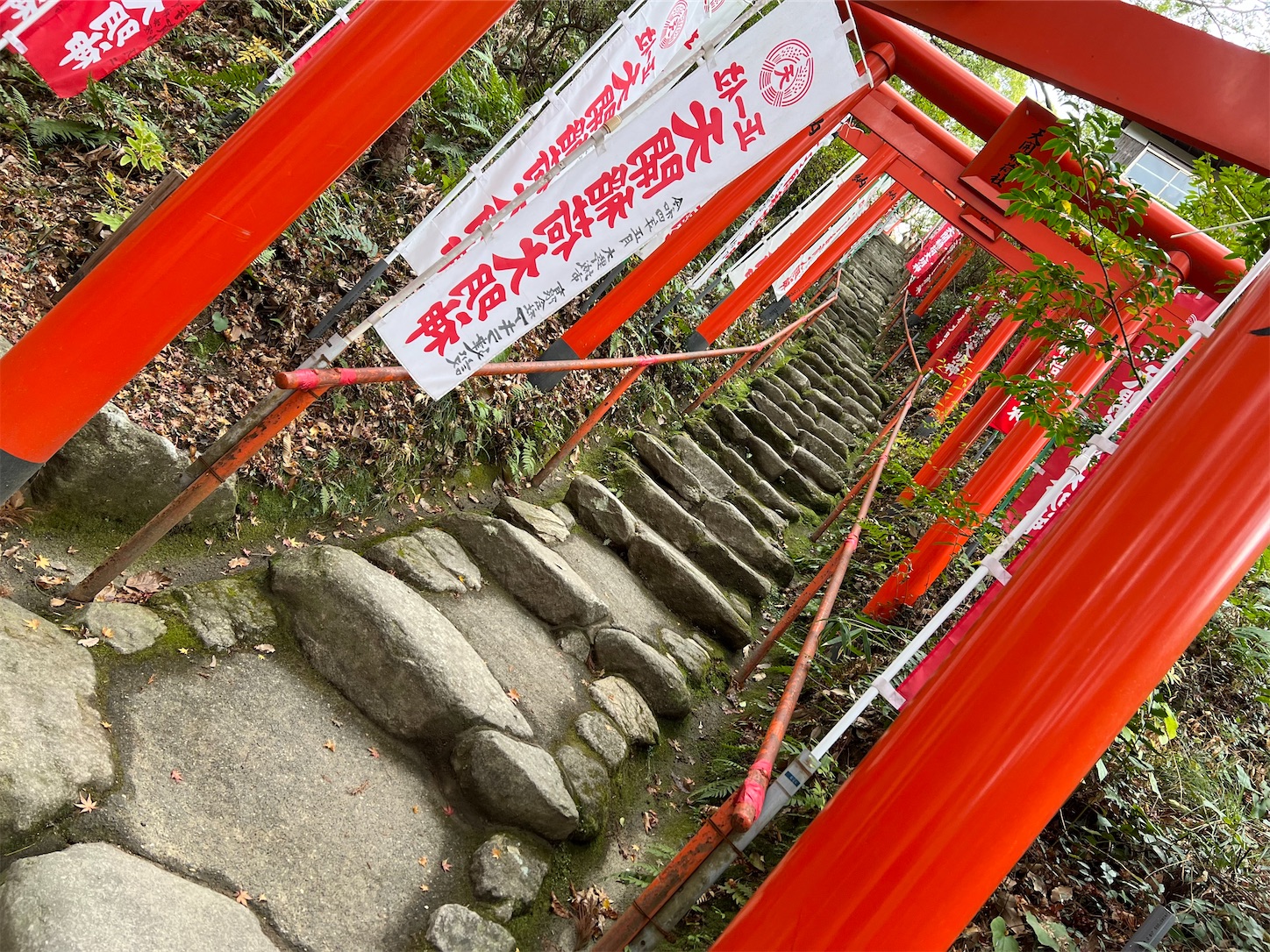 f:id:crystal0207:20221216141756j:image f:id:crystal0207:20221216141756j:image