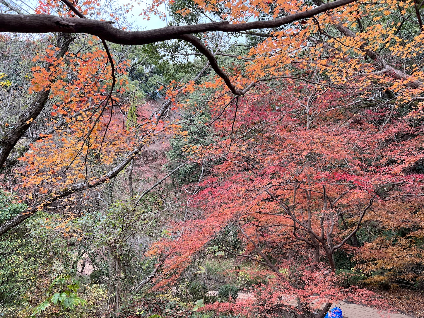 f:id:crystal0207:20221216141800j:image f:id:crystal0207:20221216141800j:image