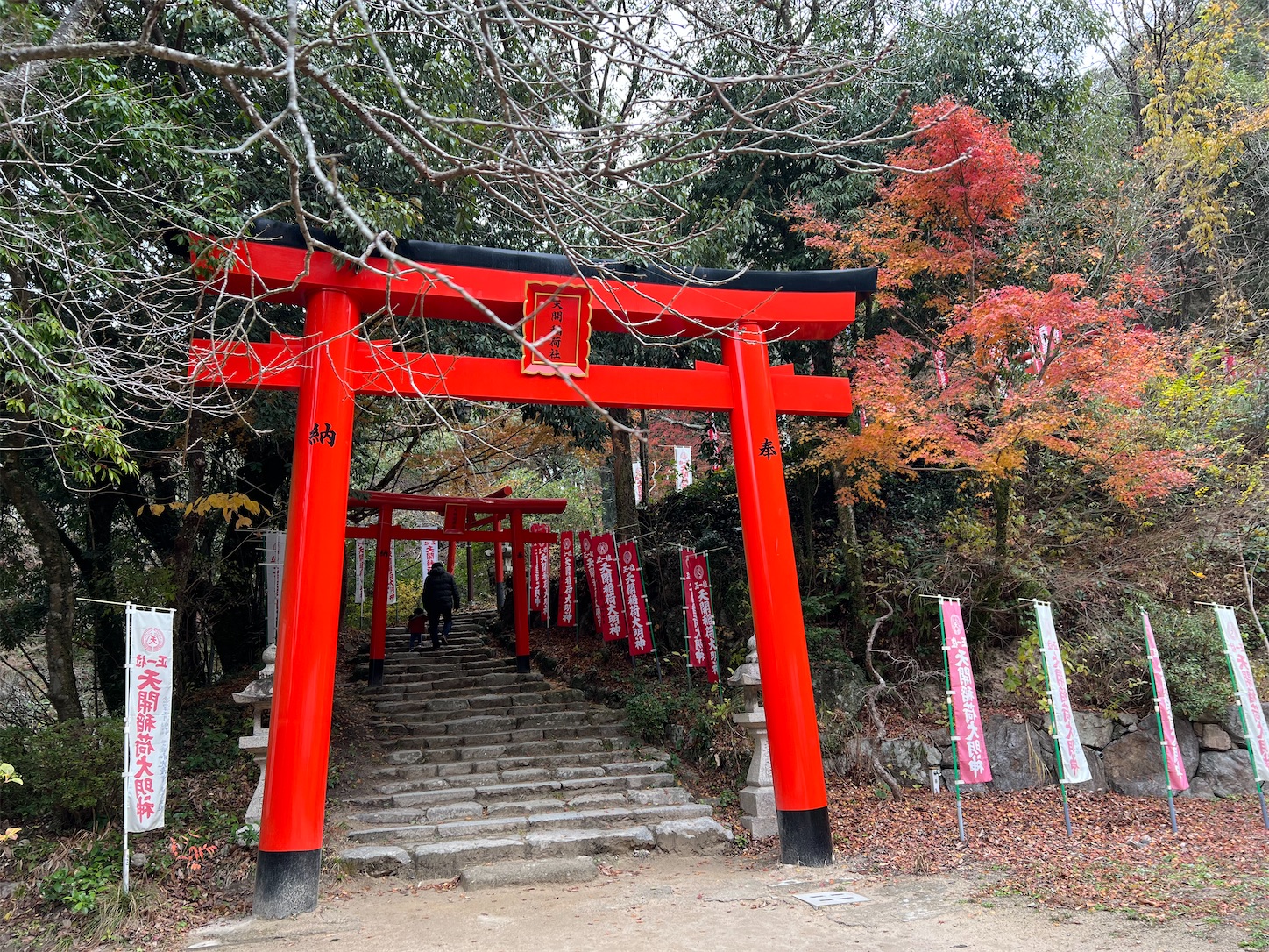 f:id:crystal0207:20221216141807j:image f:id:crystal0207:20221216141807j:image