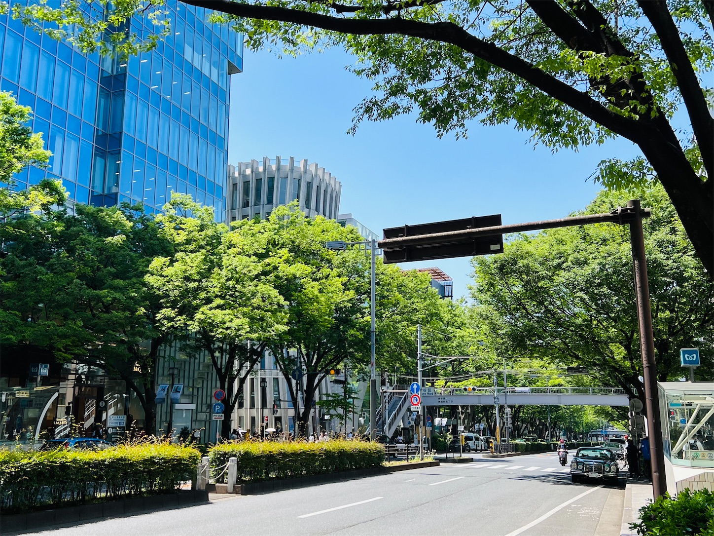 f:id:crystal0207:20230502180228j:image f:id:crystal0207:20230502180228j:image