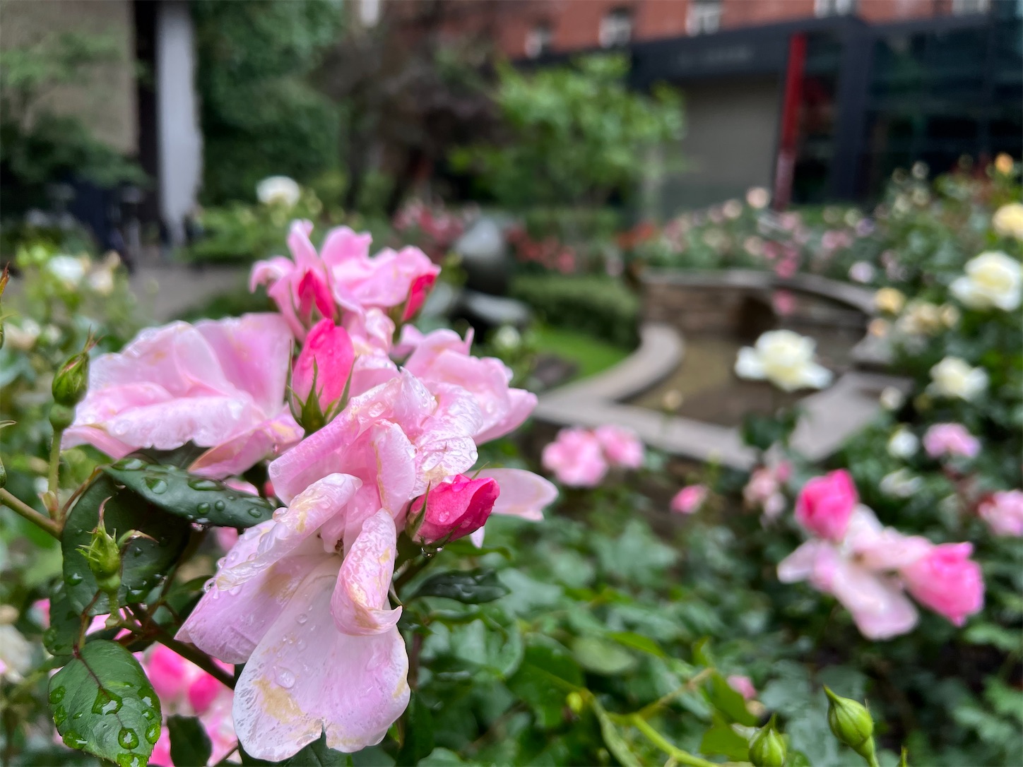 f:id:crystal0207:20230508174107j:image