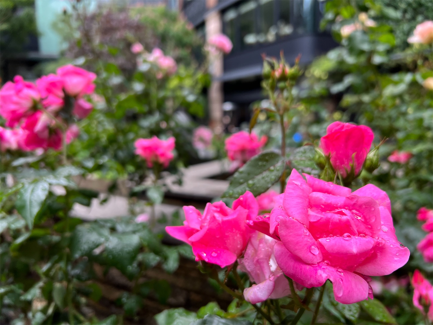 f:id:crystal0207:20230508174202j:image