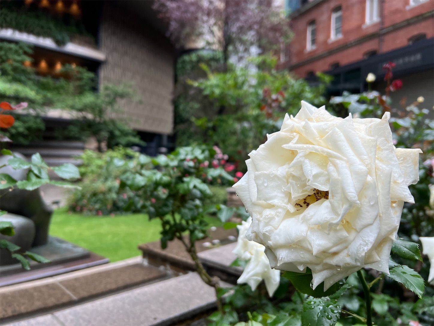 f:id:crystal0207:20230508174213j:image