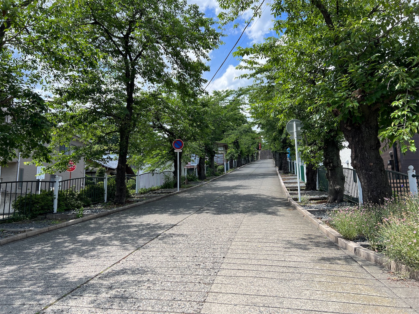 f:id:crystal0207:20230605190047j:image