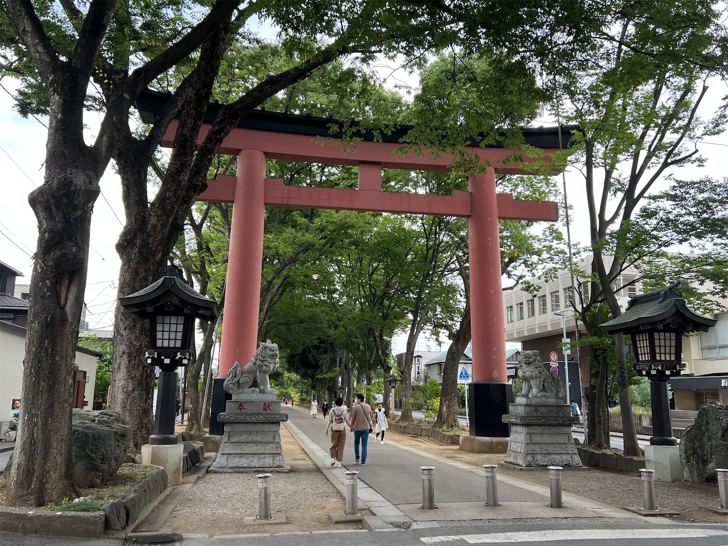 f:id:crystal0207:20230621161316j:image