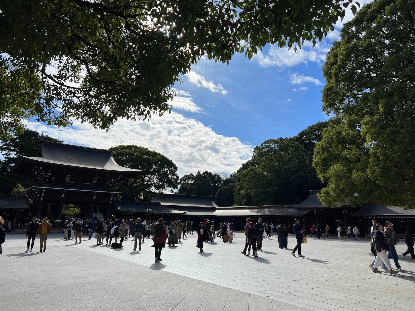 f:id:crystal0207:20231113145443j:image