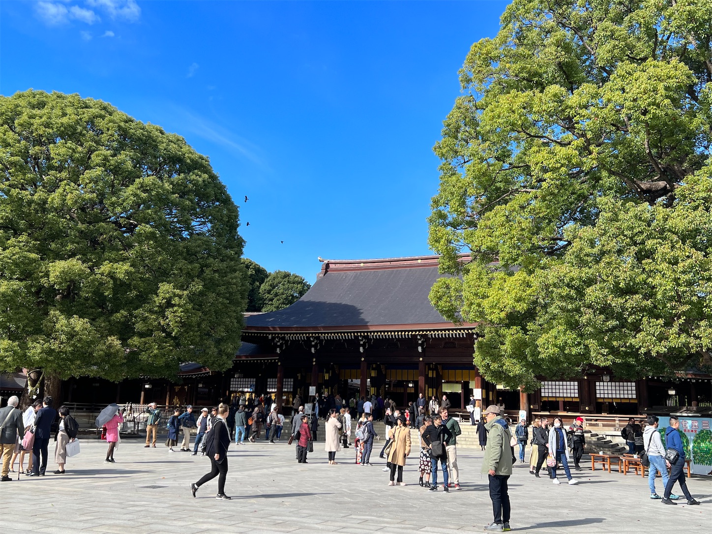 f:id:crystal0207:20231113145454j:image