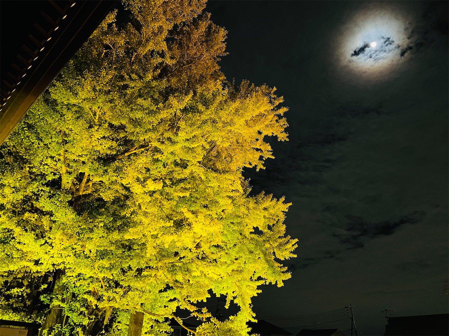 f:id:crystal0207:20231125193815j:image f:id:crystal0207:20231125193815j:image