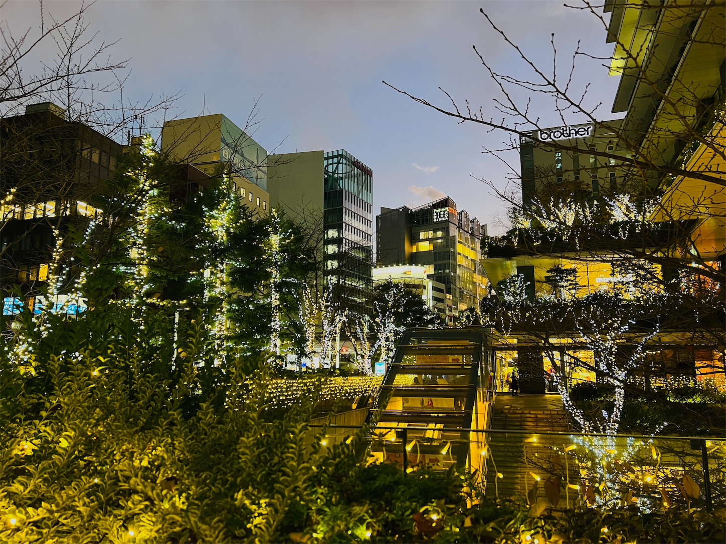 f:id:crystal0207:20231222171142j:image f:id:crystal0207:20231222171142j:image