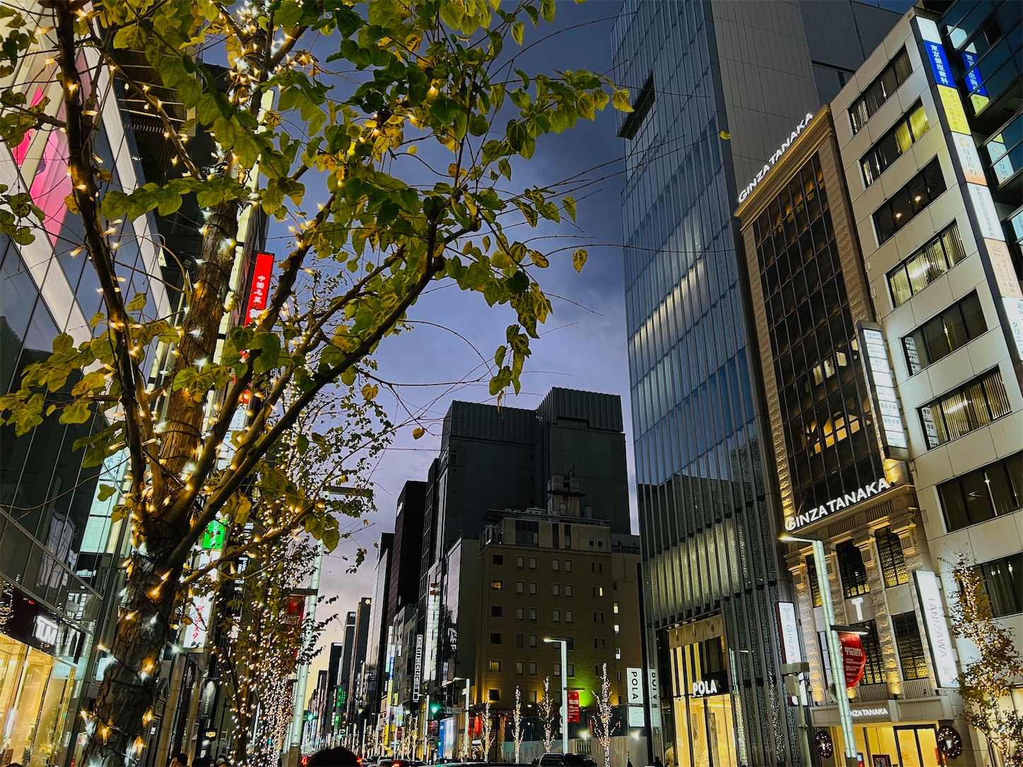 f:id:crystal0207:20231222171155j:image f:id:crystal0207:20231222171155j:image