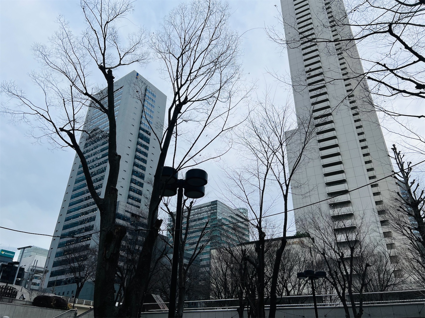 f:id:crystal0207:20240128174905j:image