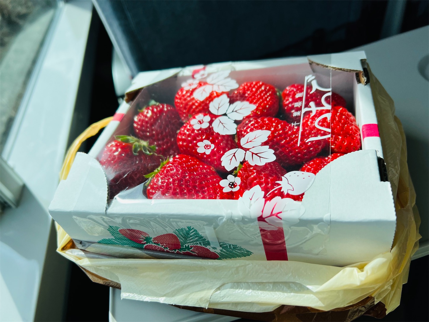 f:id:crystal0207:20240302150358j:image