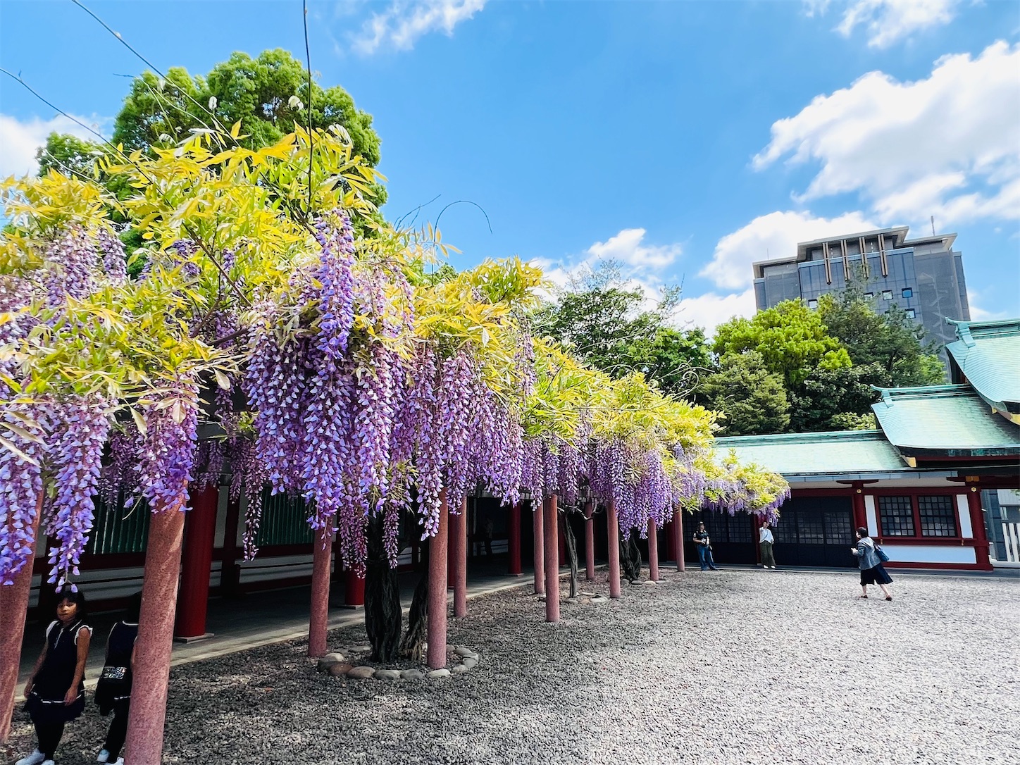 f:id:crystal0207:20240425152135j:image