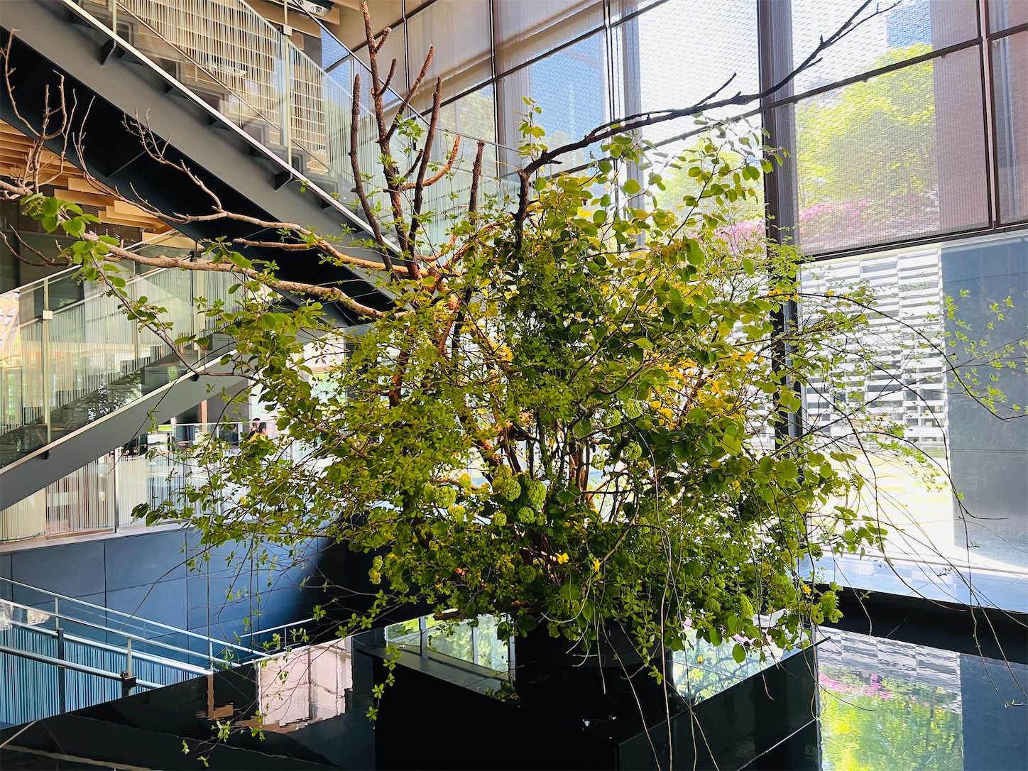 f:id:crystal0207:20240425152208j:image