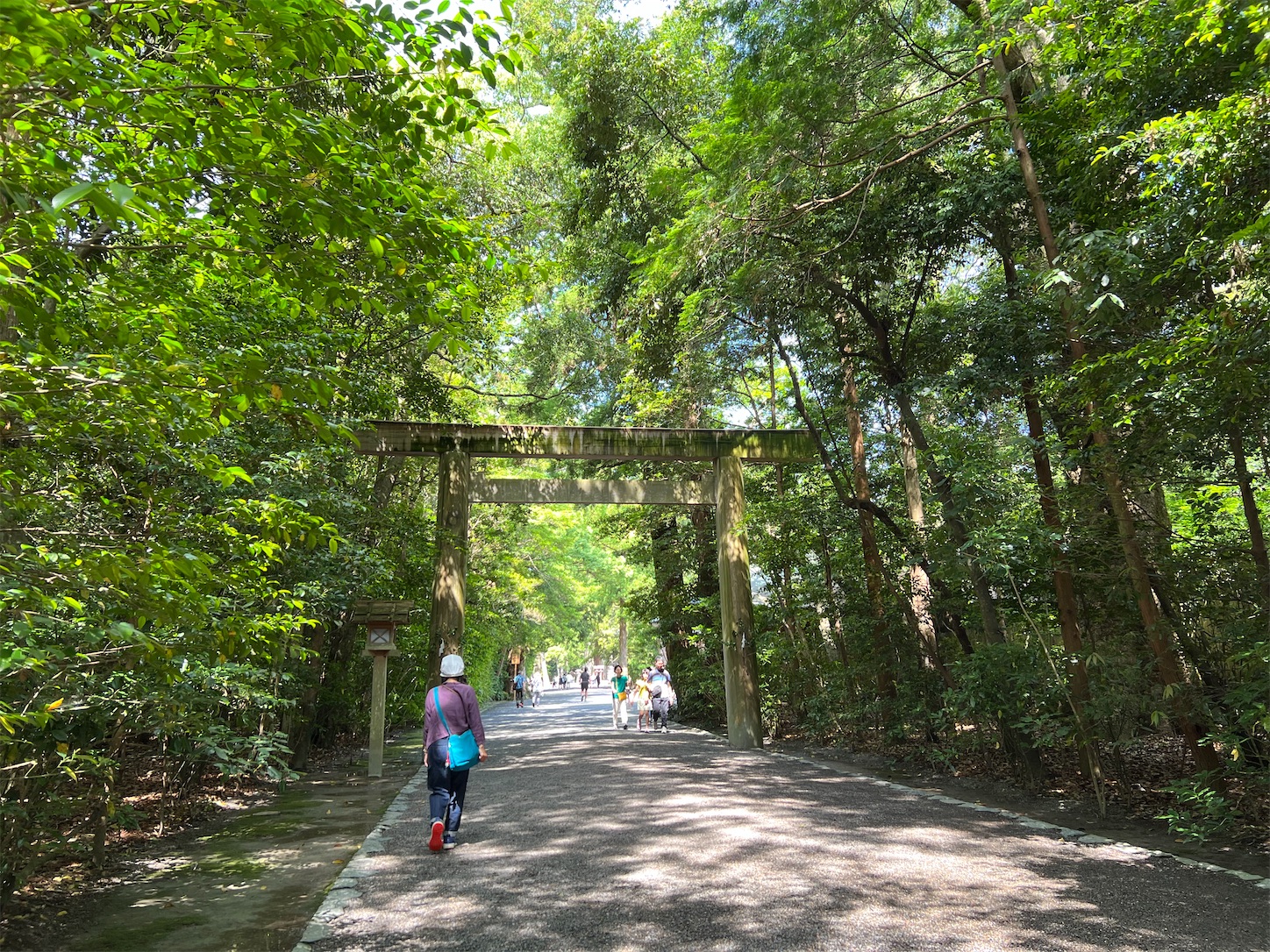 f:id:crystal0207:20240603130401j:image