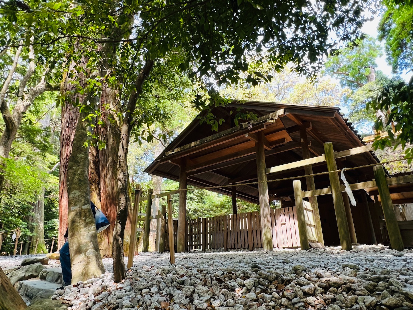 f:id:crystal0207:20240603130439j:image