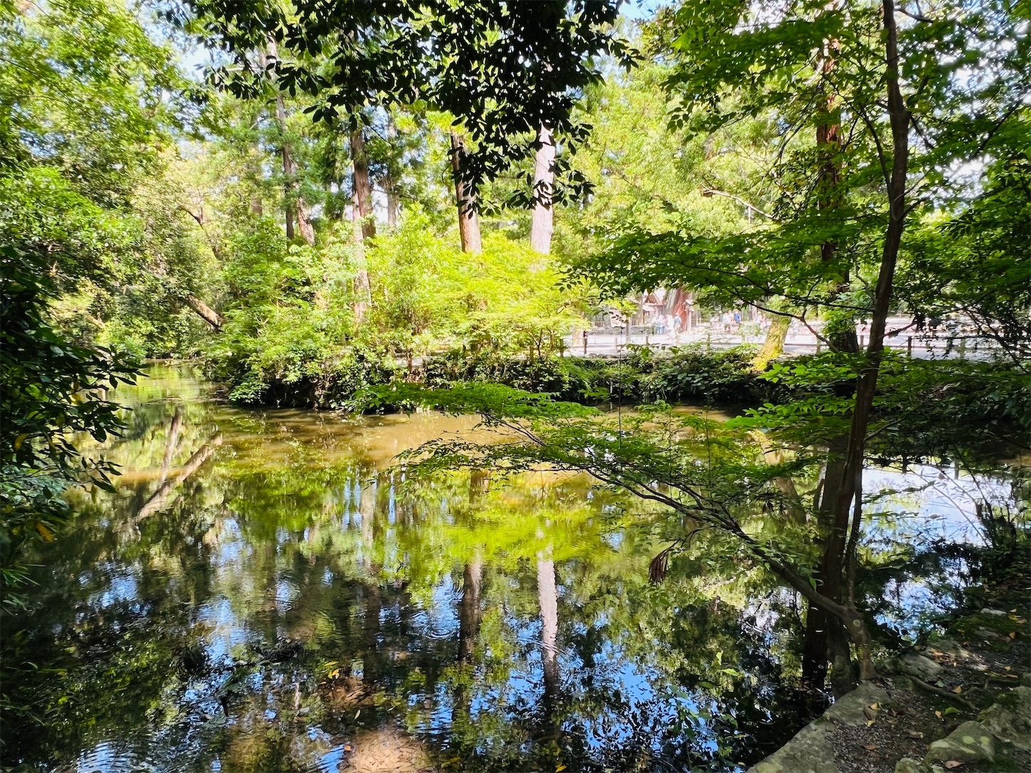 f:id:crystal0207:20240603130453j:image