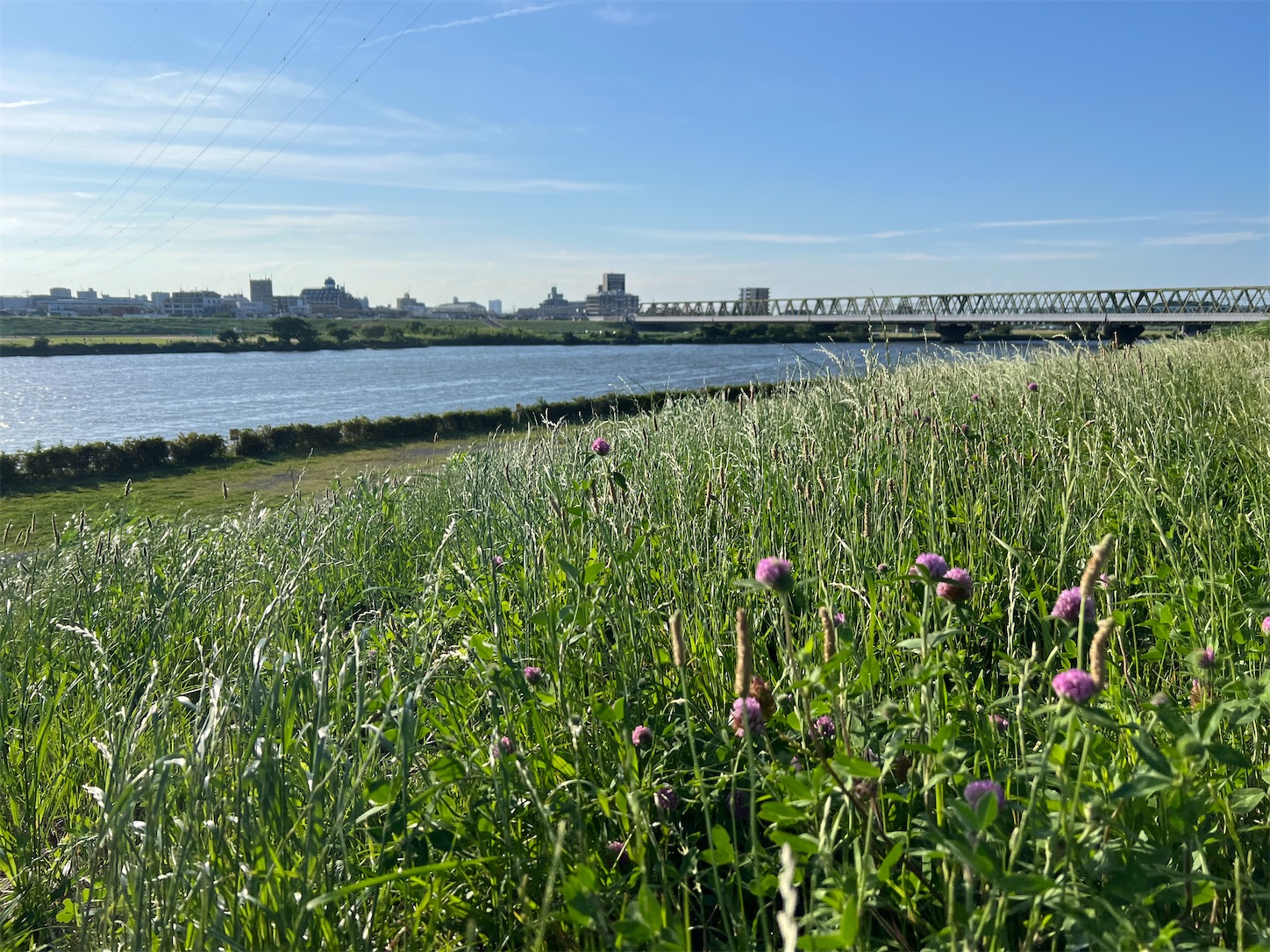 f:id:crystal0207:20240616184637j:image