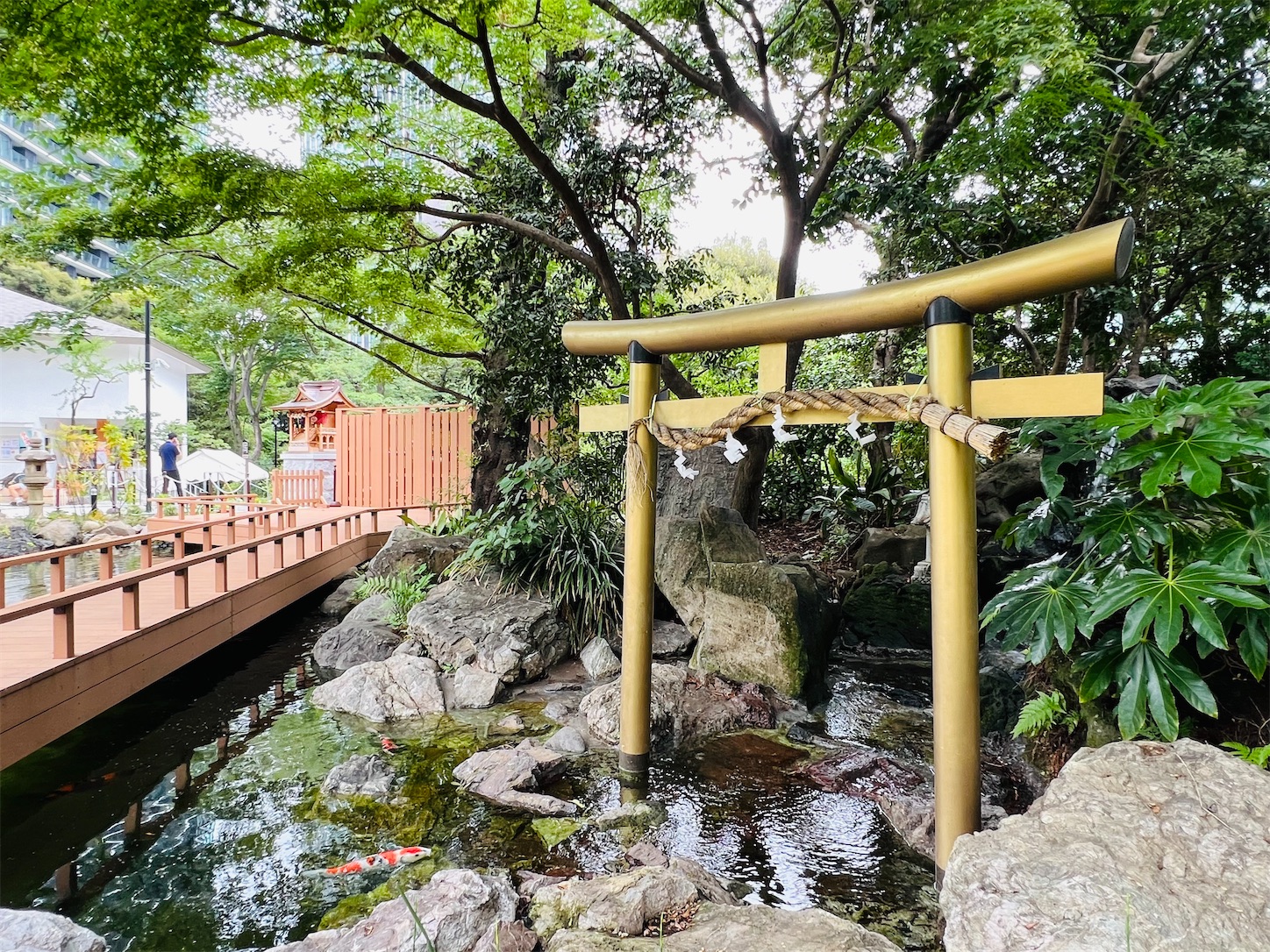 f:id:crystal0207:20240617180737j:image f:id:crystal0207:20240617180737j:image