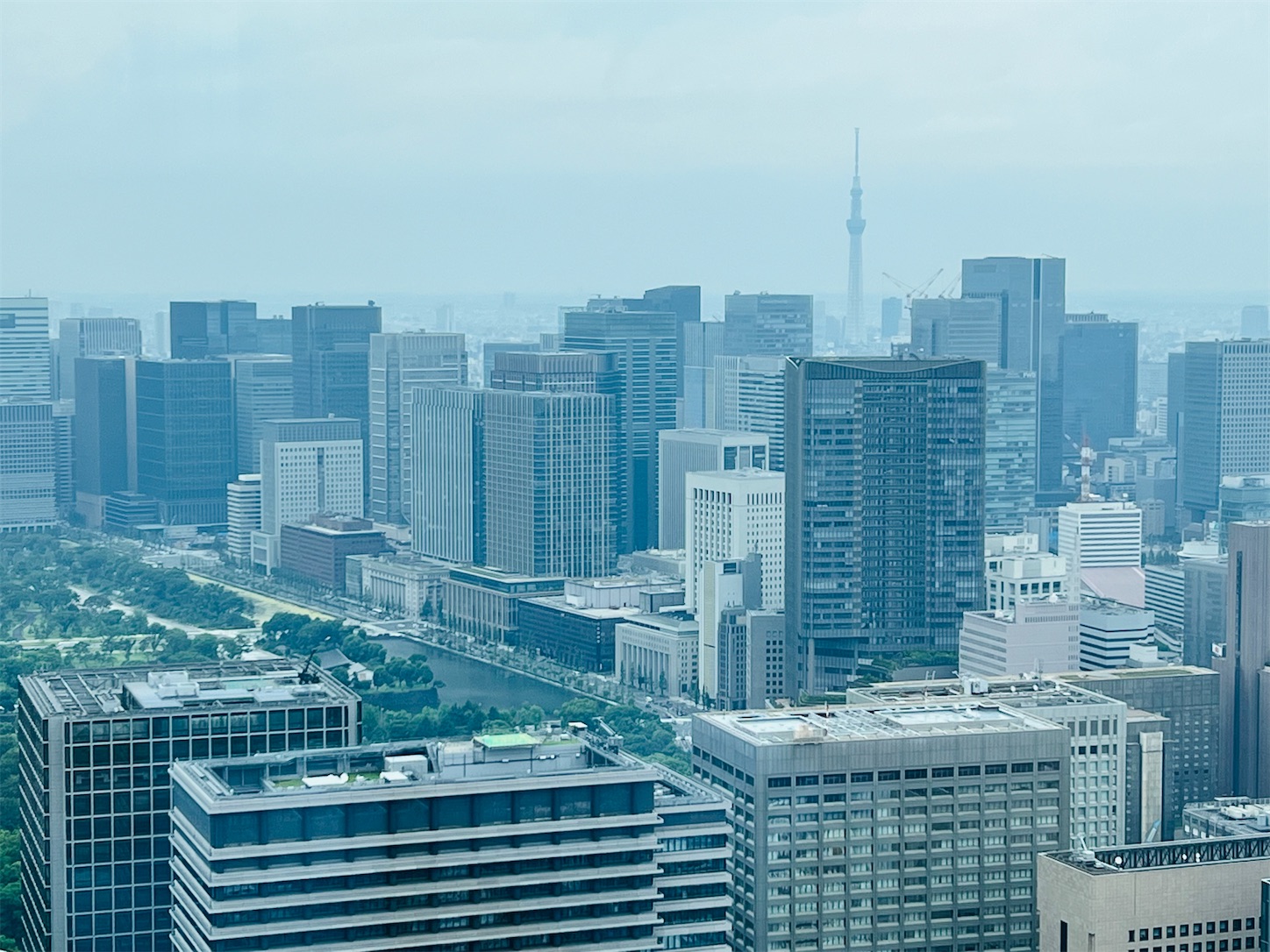 f:id:crystal0207:20240617180743j:image f:id:crystal0207:20240617180743j:image