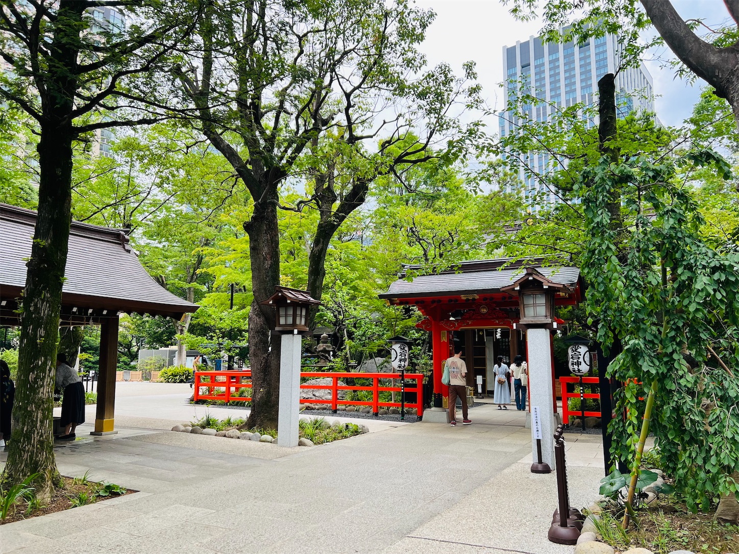 f:id:crystal0207:20240617180746j:image f:id:crystal0207:20240617180746j:image