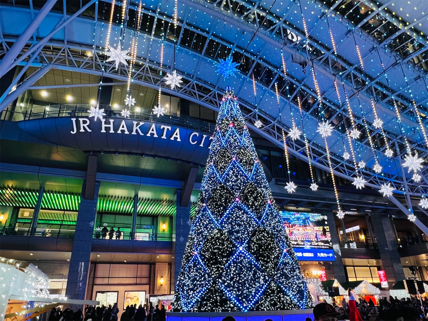 f:id:crystal0207:20241216202325j:image f:id:crystal0207:20241216202325j:image