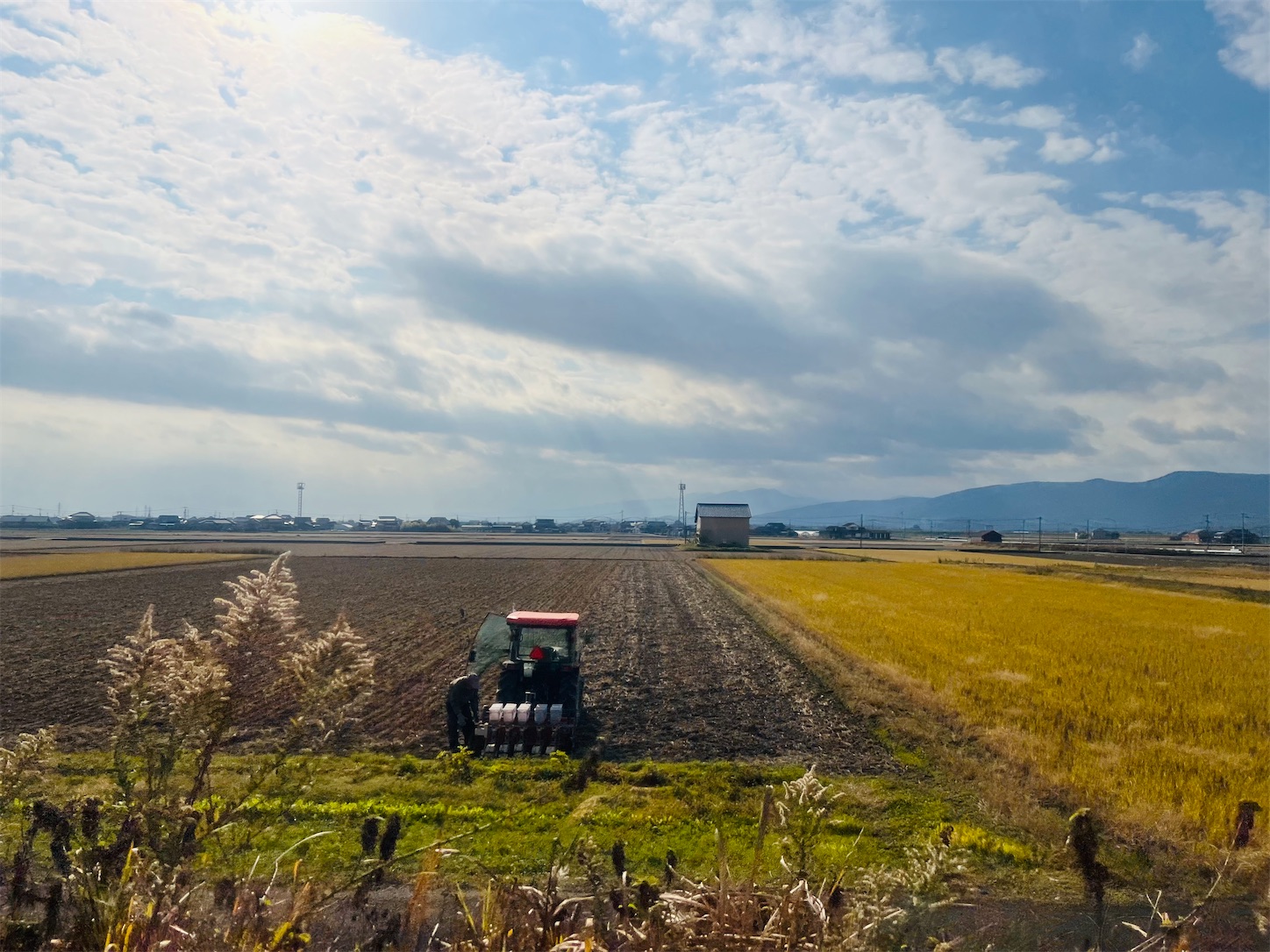 f:id:crystal0207:20241217114430j:image