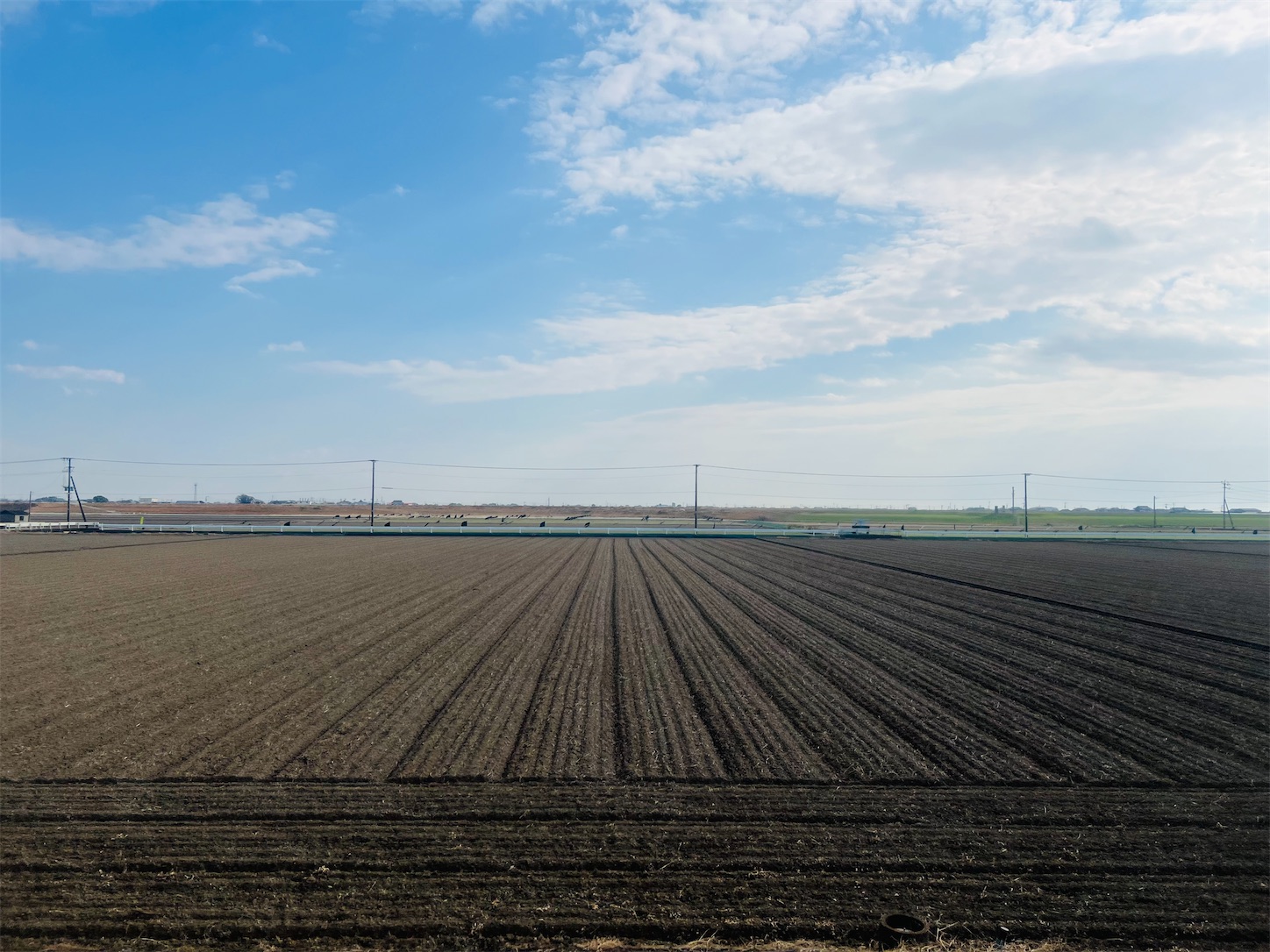 f:id:crystal0207:20241217114445j:image