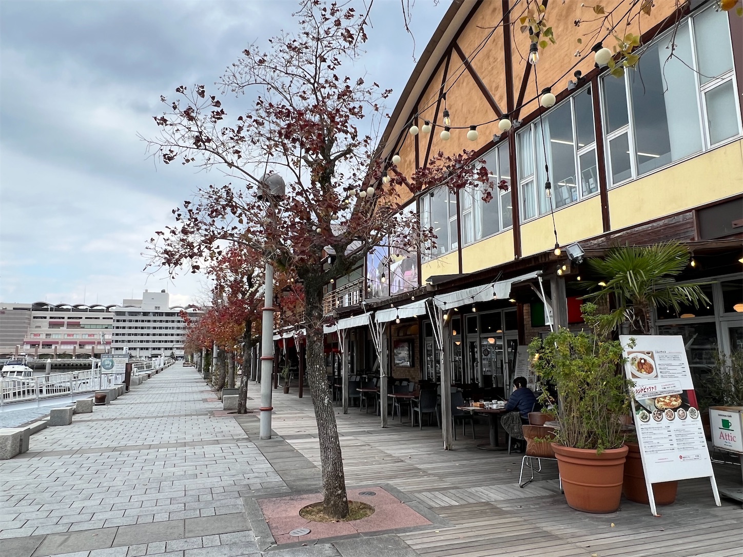 f:id:crystal0207:20241217143739j:image