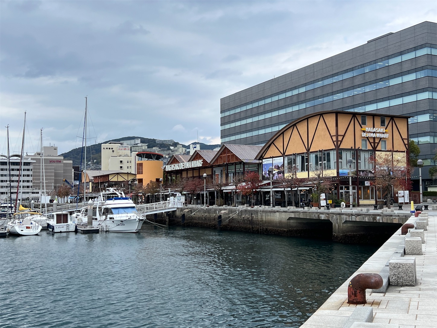 f:id:crystal0207:20241217143742j:image