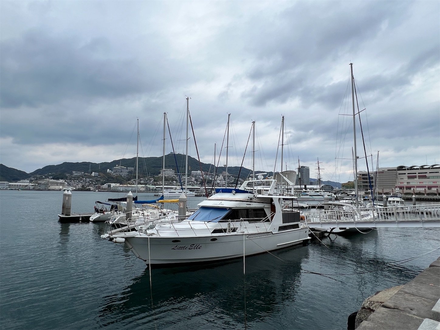 f:id:crystal0207:20241217143746j:image