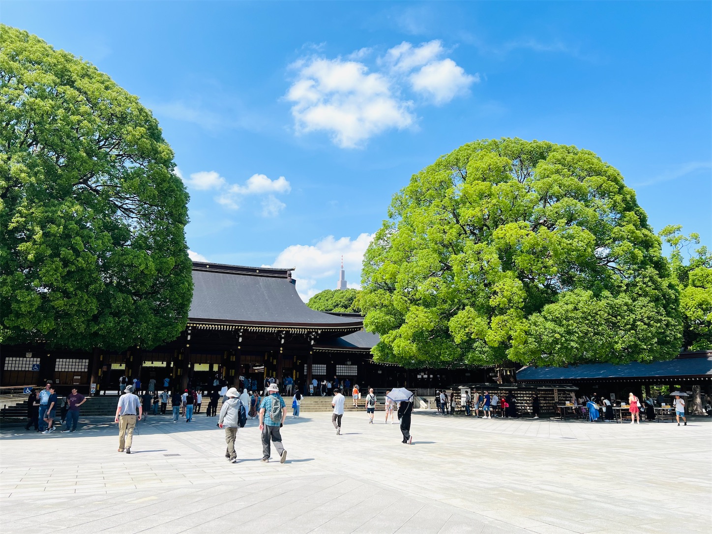 f:id:crystal0207:20250620145349j:image