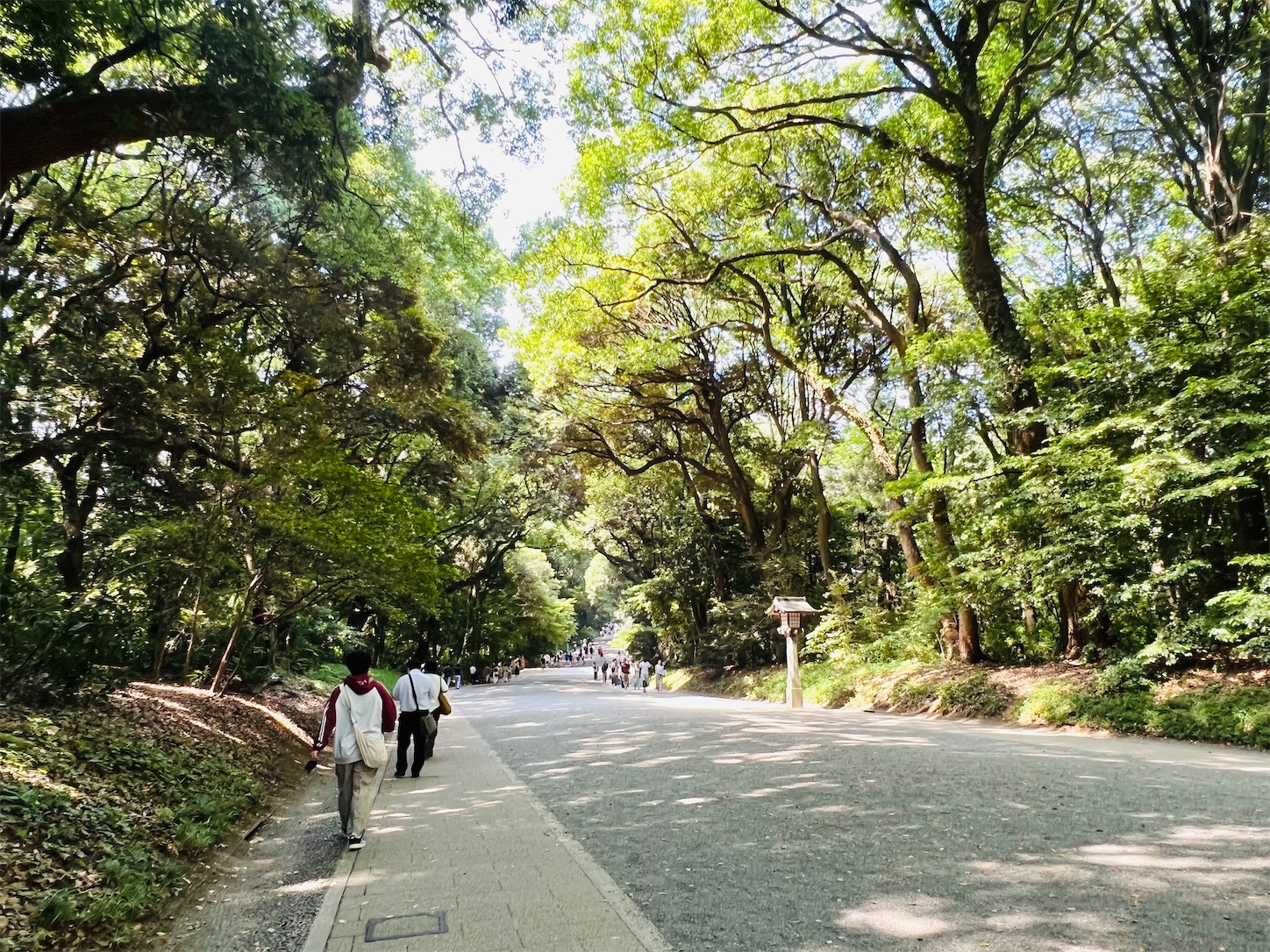 f:id:crystal0207:20250620145356j:image