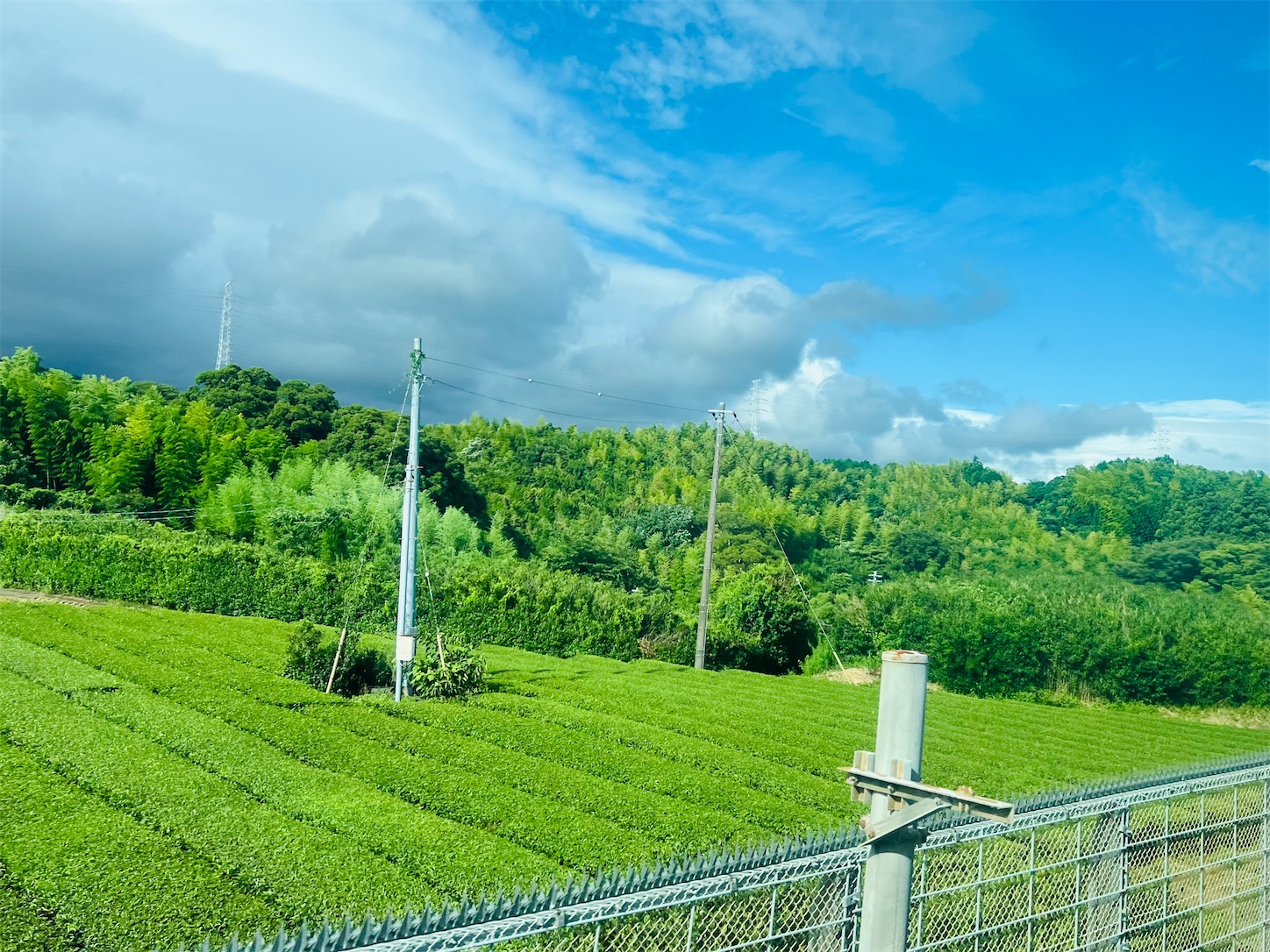 f:id:crystal0207:20250714162807j:image