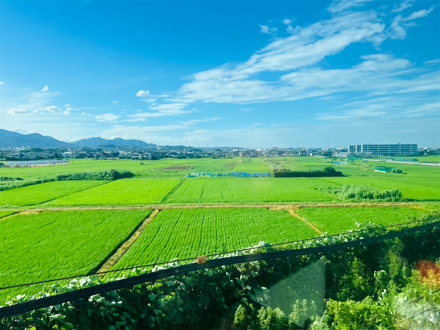 f:id:crystal0207:20250714162811j:image