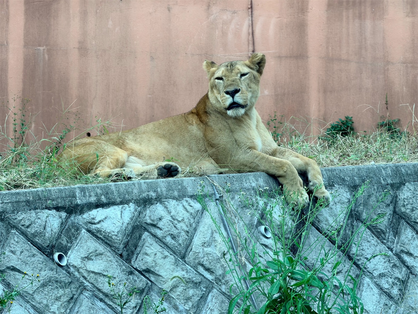 f:id:crystal0207:20251028102621j:image