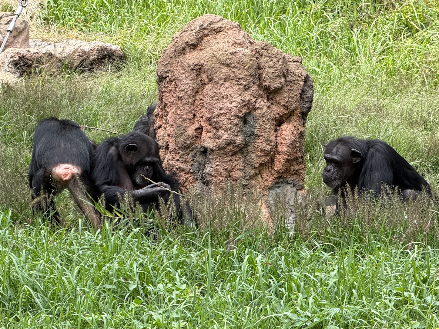 f:id:crystal0207:20251028102632j:image