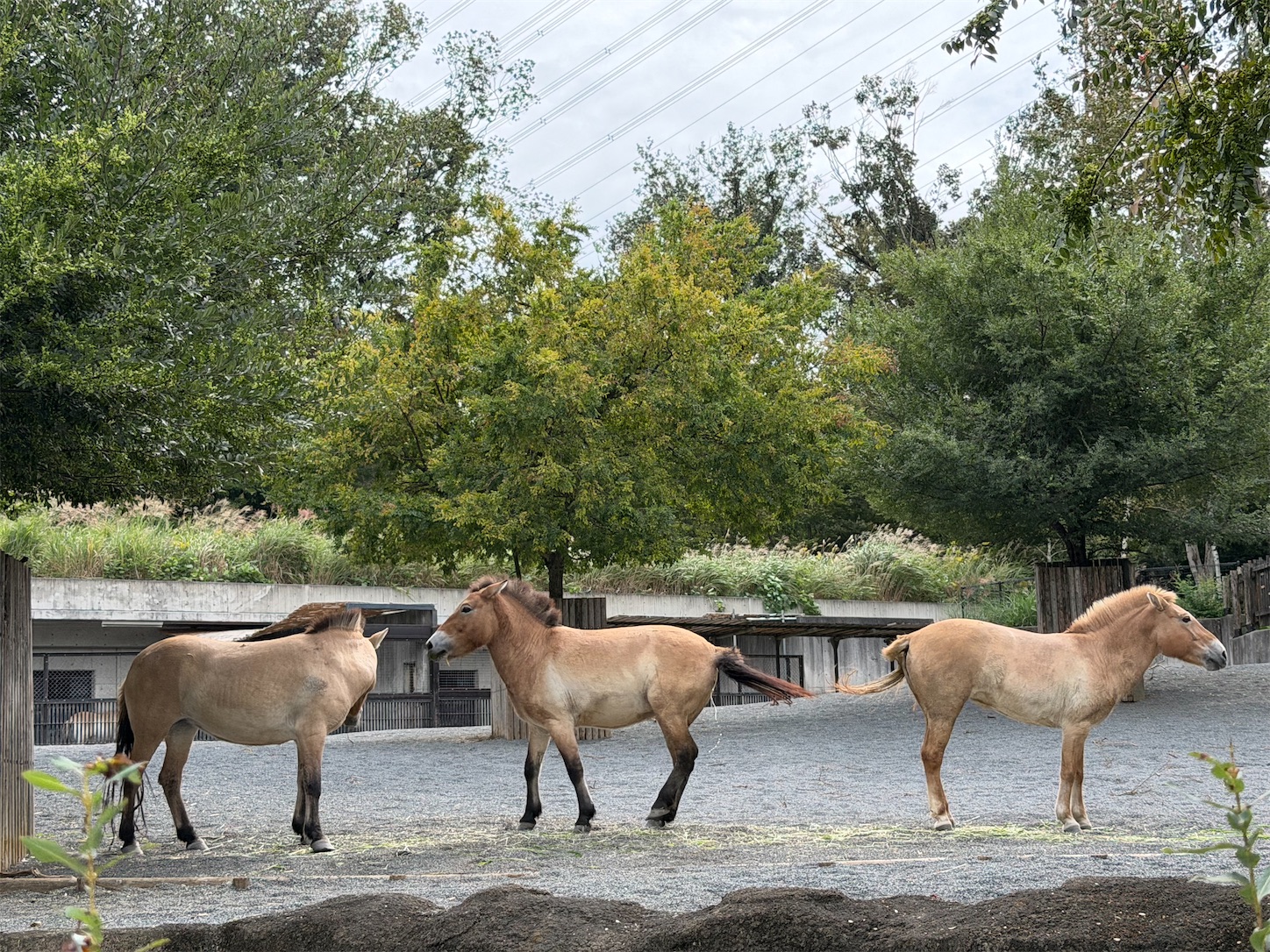 f:id:crystal0207:20251028165809j:image