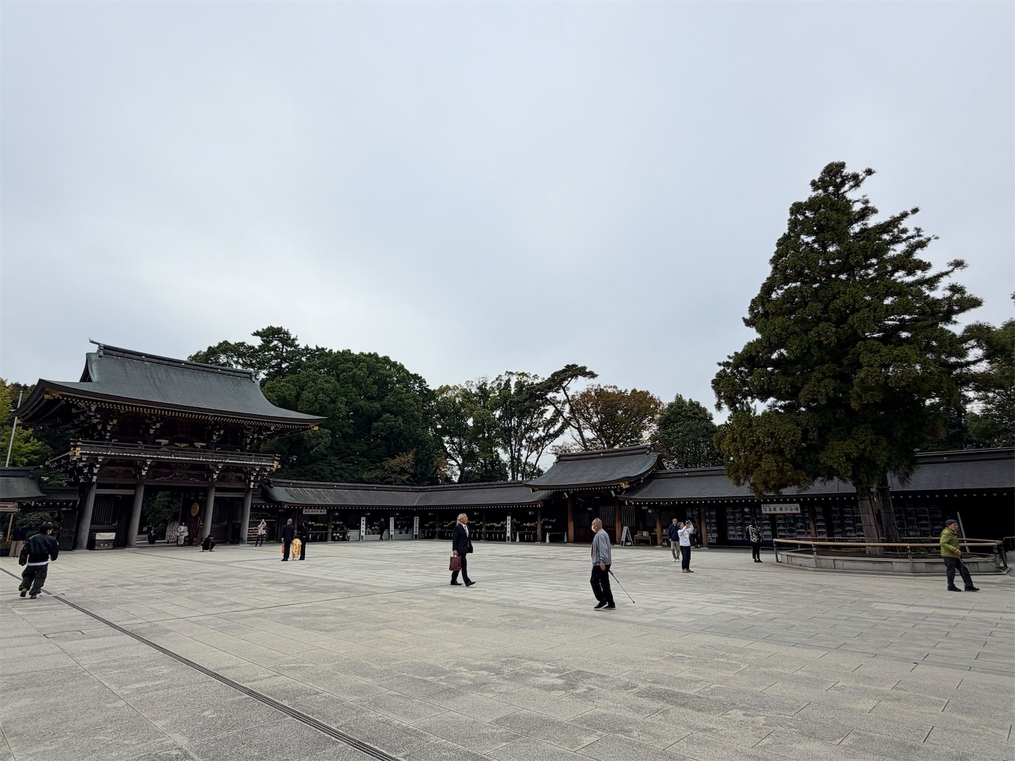 f:id:crystal0207:20251113170041j:image f:id:crystal0207:20251113170041j:image