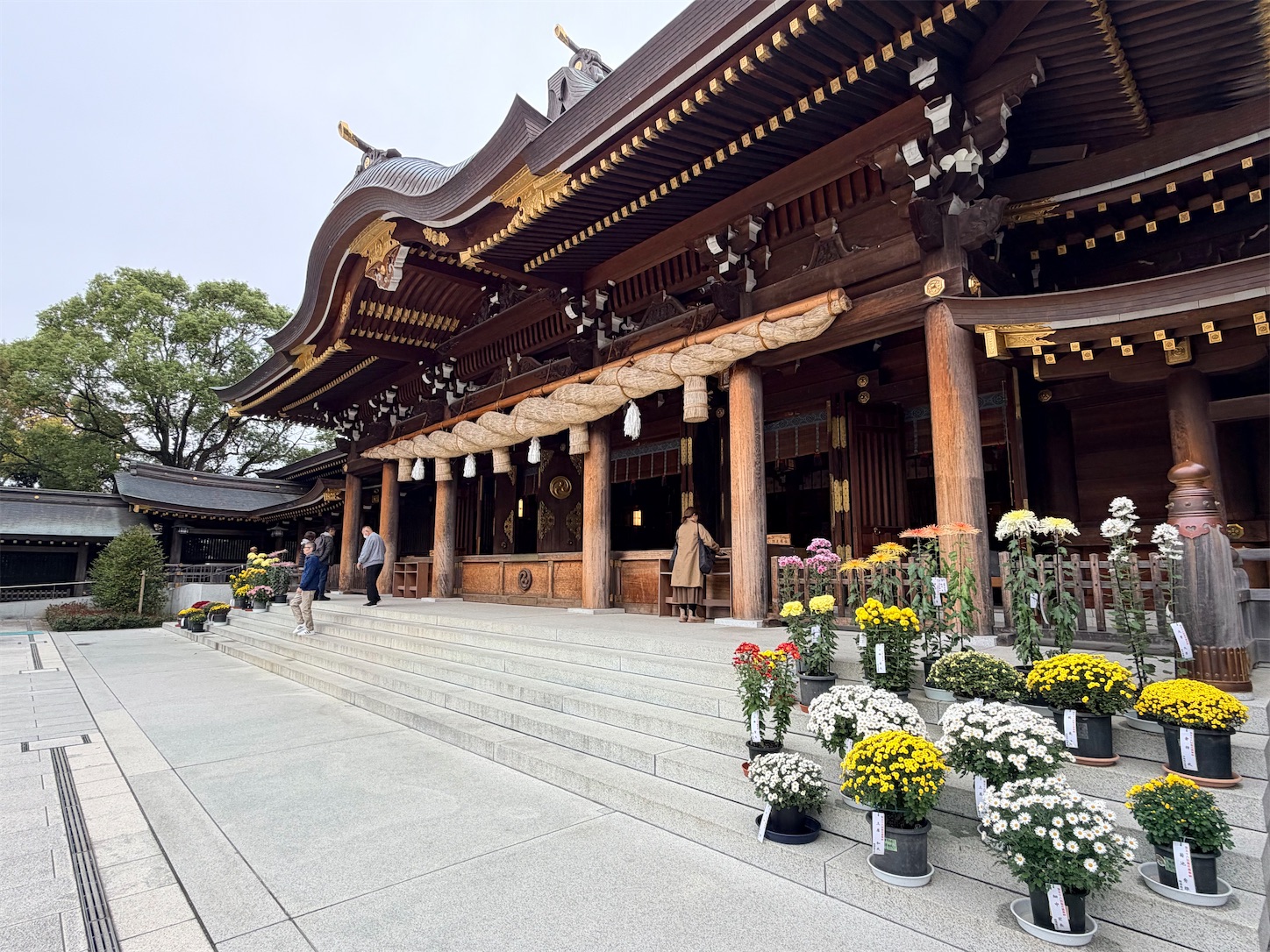 f:id:crystal0207:20251113170046j:image f:id:crystal0207:20251113170046j:image