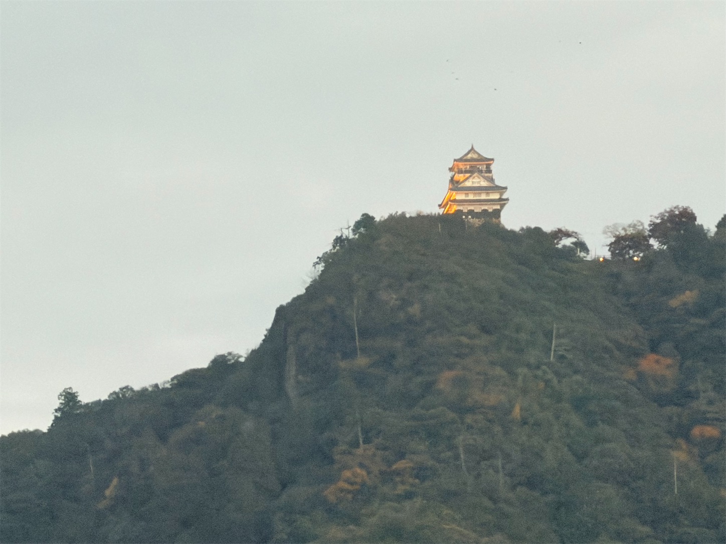 f:id:crystal0207:20251124172454j:image