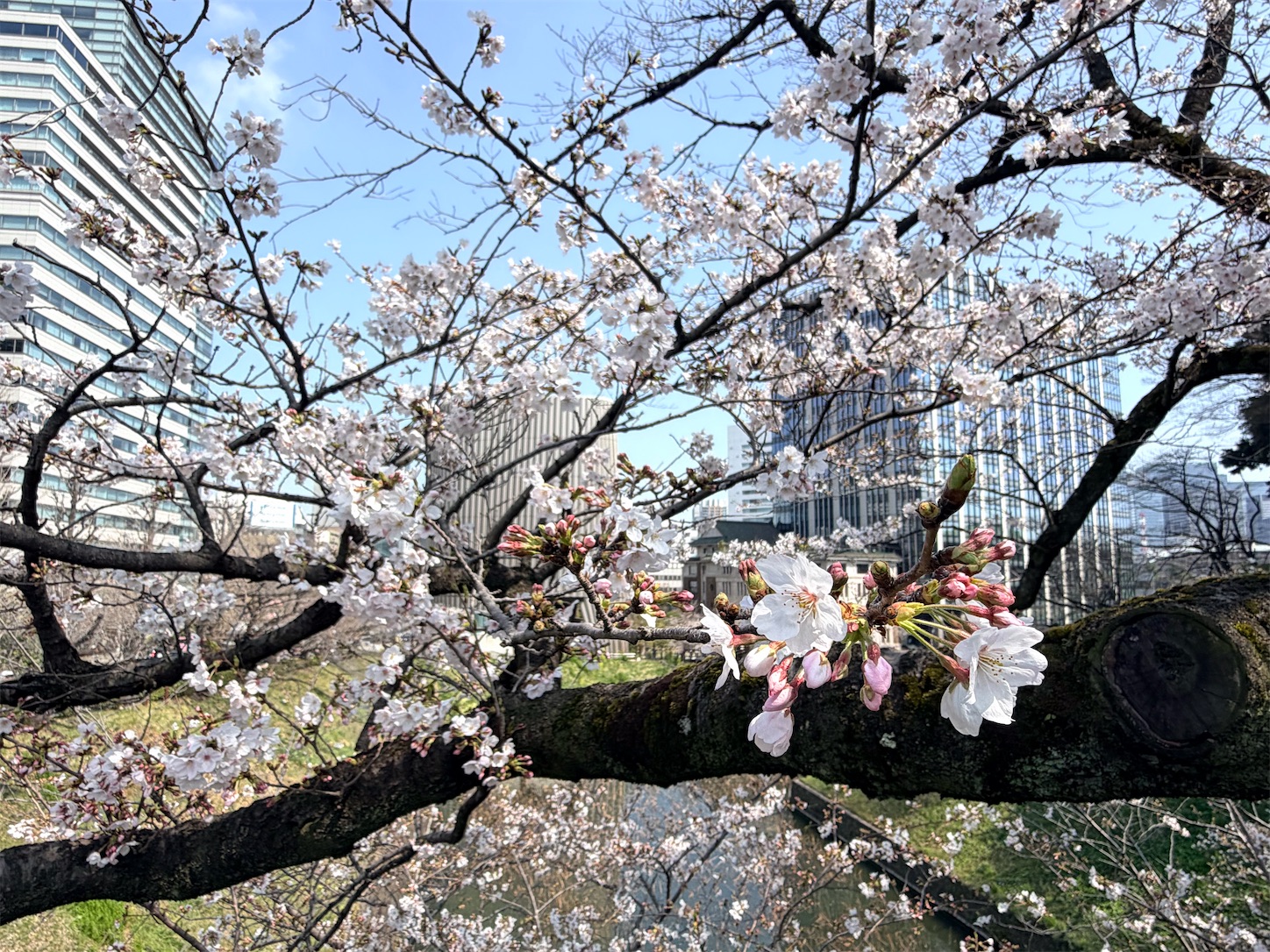 f:id:crystal0207:20260328152222j:image