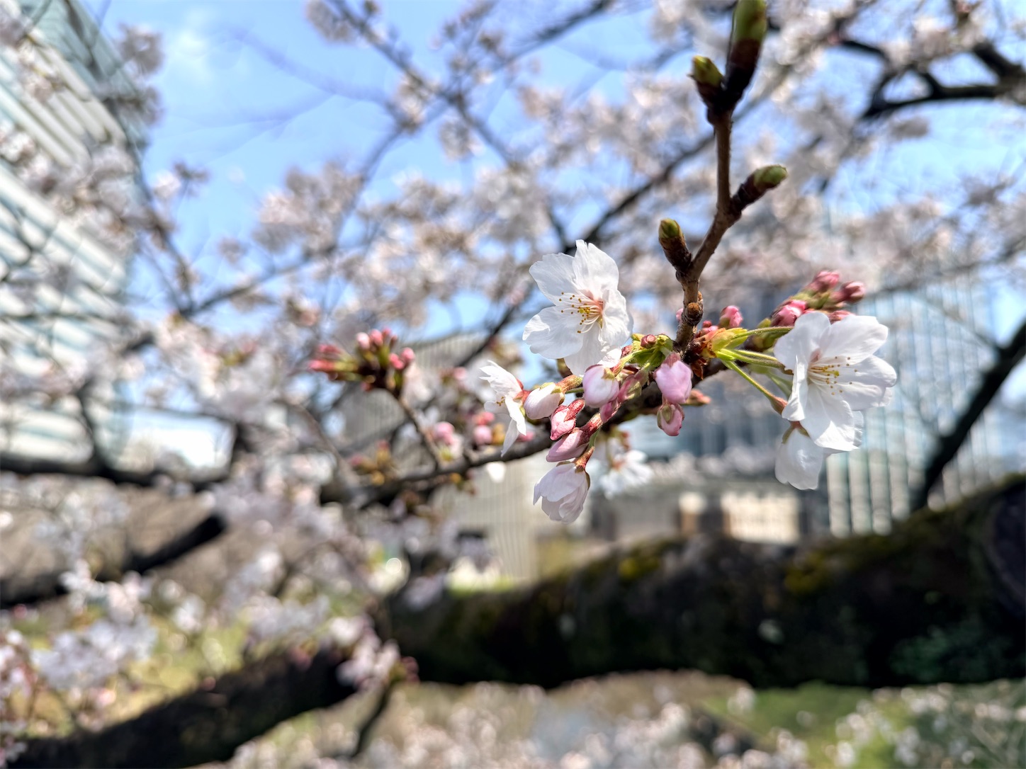 f:id:crystal0207:20260328152226j:image