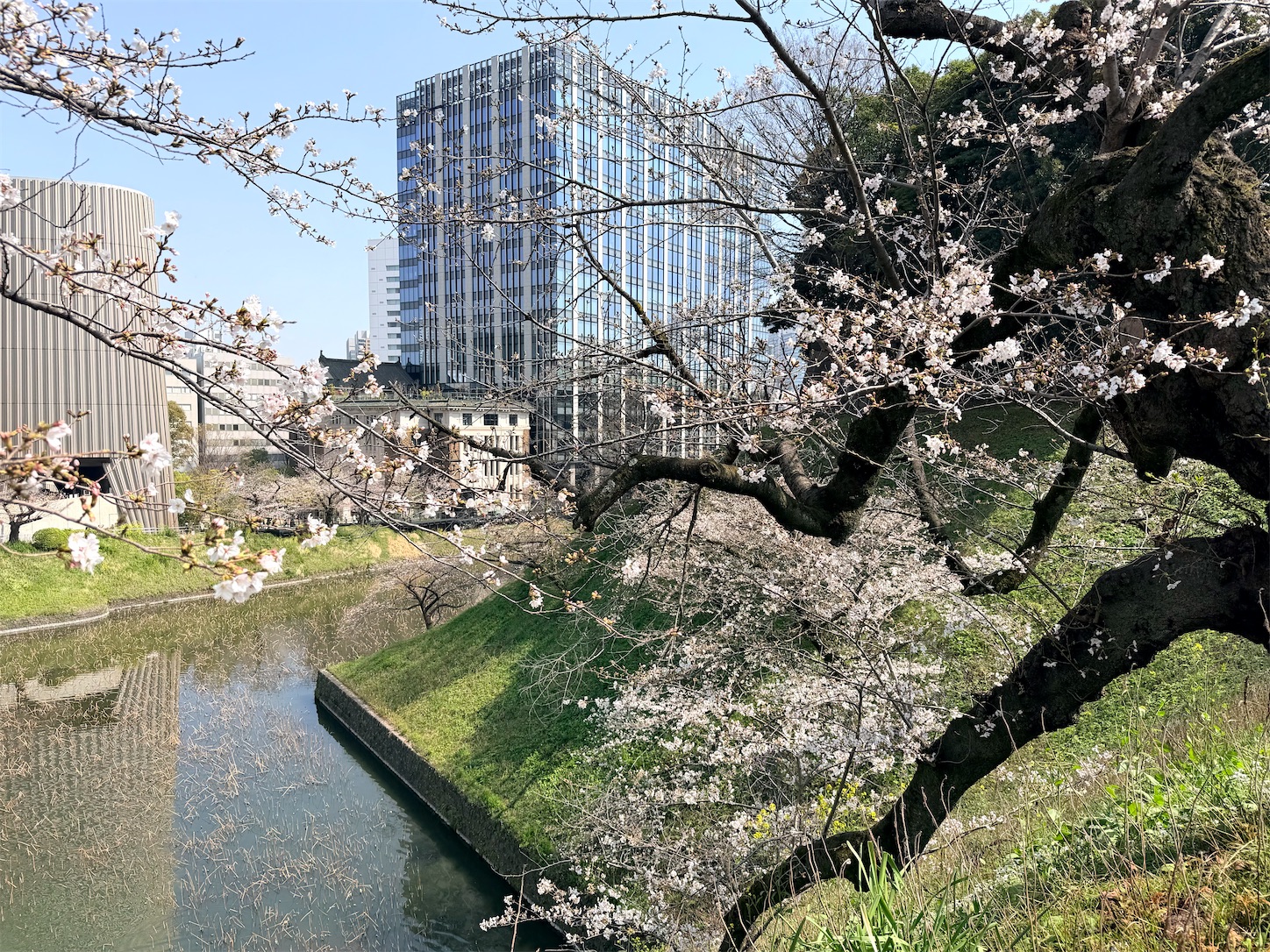 f:id:crystal0207:20260328152244j:image