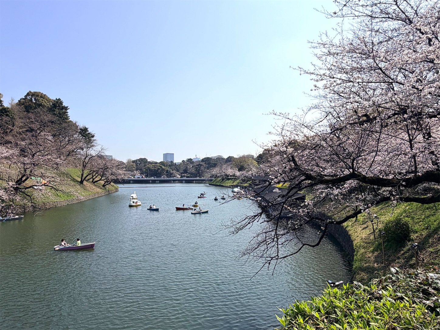f:id:crystal0207:20260328152307j:image