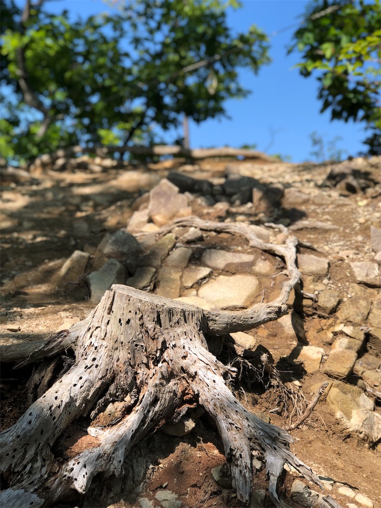 f:id:crystalcrystal12345:20191026070749j:image