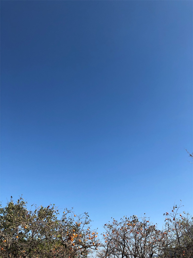 f:id:crystallotus20200425:20181028145355j:image f:id:crystallotus20200425:20181028145355j:image