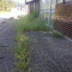 2011091511020000.jpg