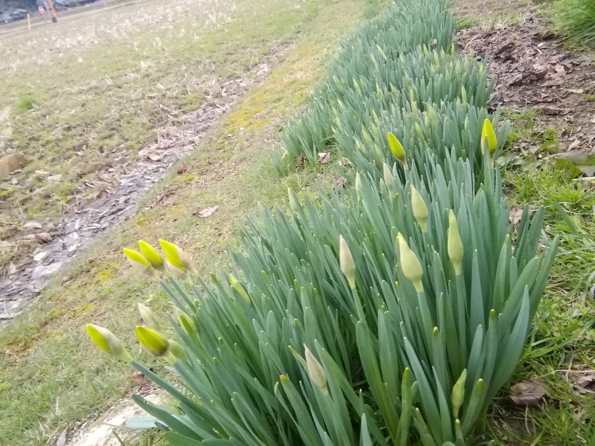 f:id:cs3110base:20220325122919j:plain